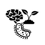 brain, bacterial cell, two leaves growing out of soil