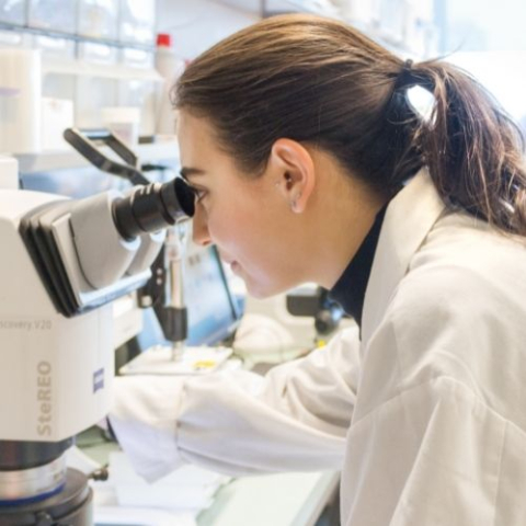 woman looking in microscope in lab