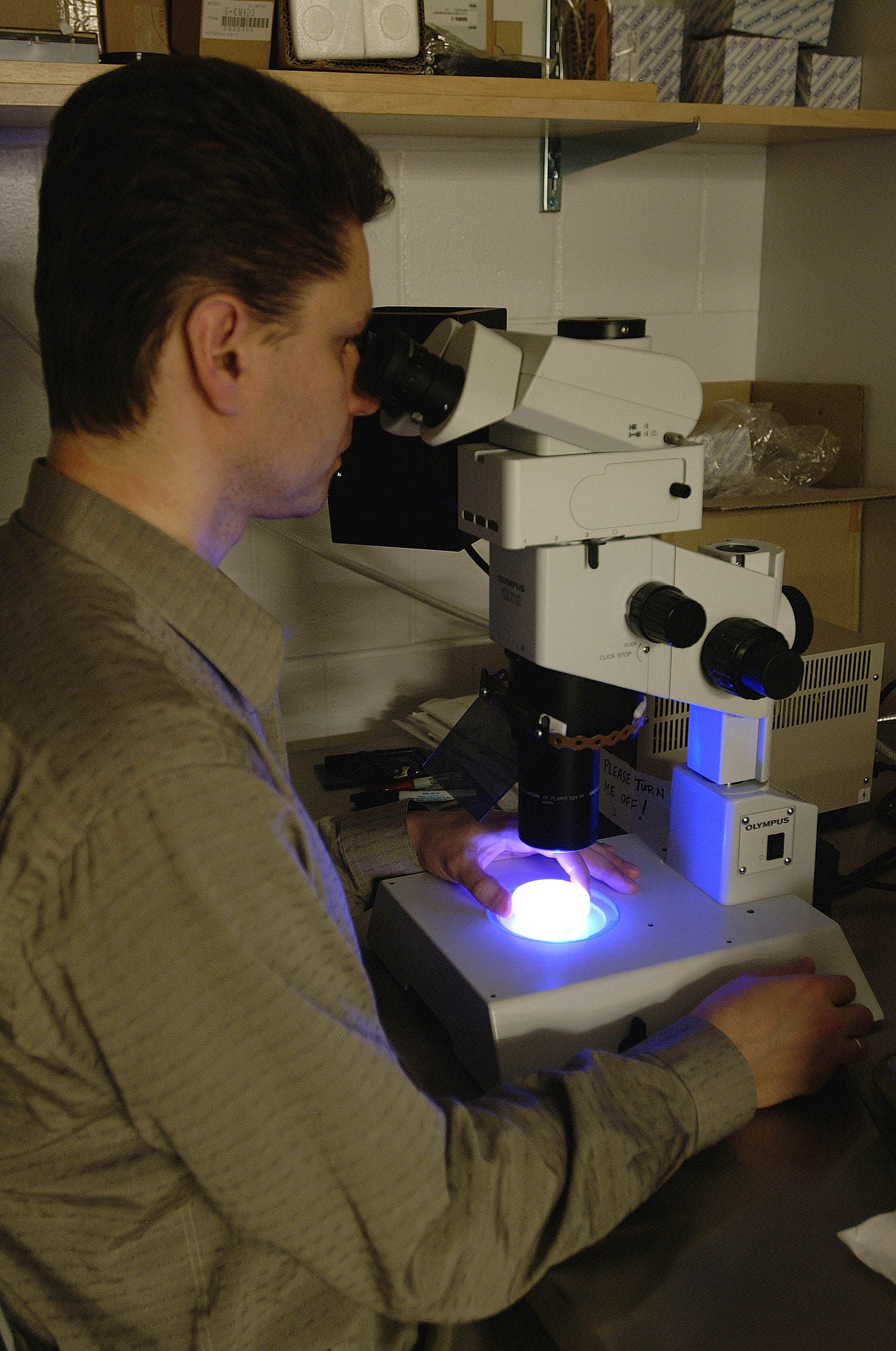 Researcher at epifluorescence microscope