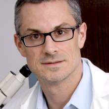 Dr. Stephane A. Laporte