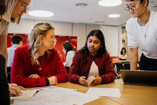 Management students work on group project
