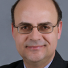 Antonis E Koromilas