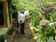 Housing and garden relationship. Example of housing in Colombo, Sri Lanka.