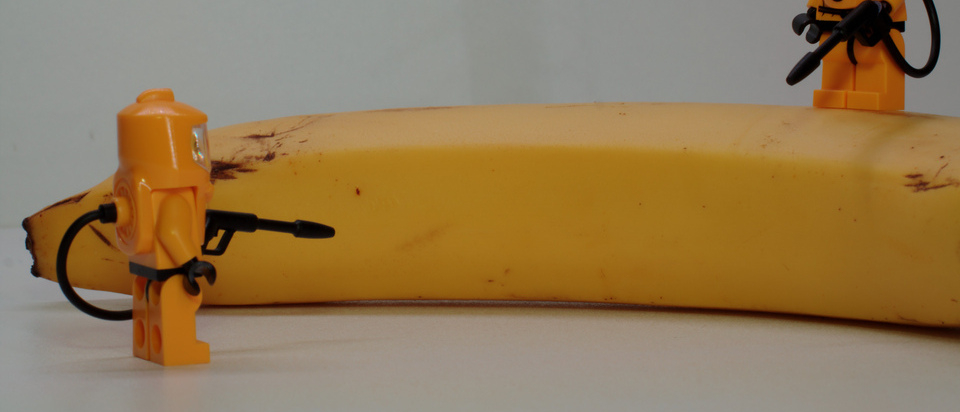 Is it true that bananas are radioactive? | Office for Science and Society -  McGill University