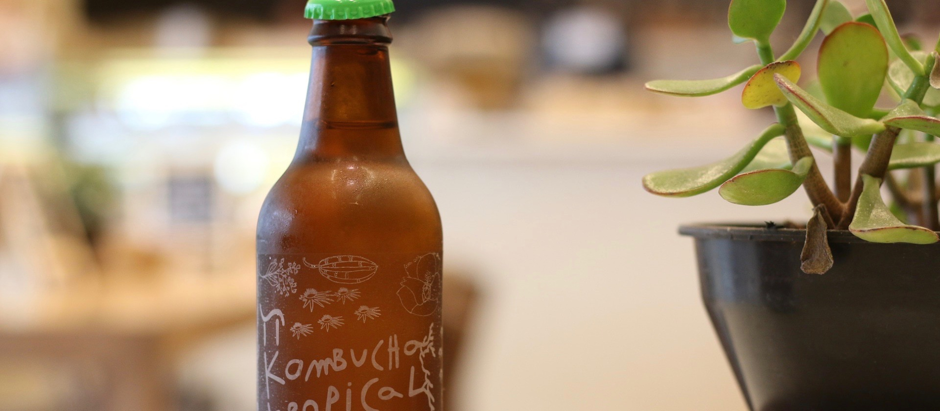 Does Drinking Kombucha Have any Health Benefits? | Office for Science and  Society - McGill University