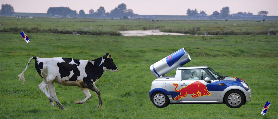 Why is there a bull on the "Red Bull" logo? | Office for Science and  Society - McGill University