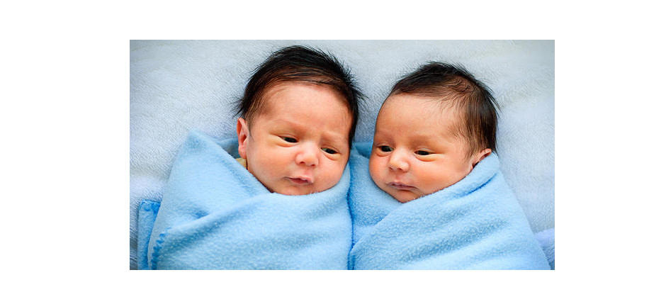 Diet and twins: are they connected? | Office for Science and Society -  McGill University
