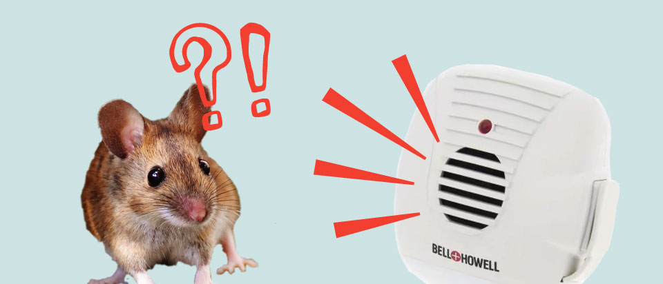 Are ultrasonic pest repellers effective? | Office for Science and Society -  McGill University