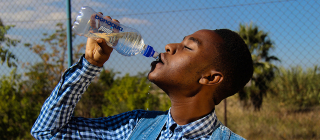 When Is the Best Time to Drink Water? | Office for Science and Society -  McGill University