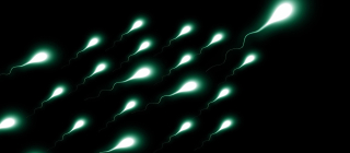 Facts And Myths Of Male Fertility: Tight Underwear, Hot Tubs, Marijuana,  And More | Office for Science and Society - McGill University