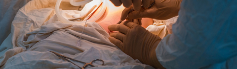 Pediatric urologist performing an operation