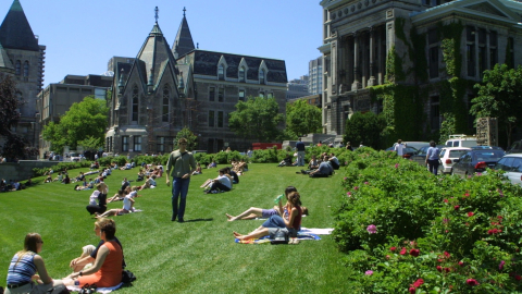 mcgill phd sociology admission