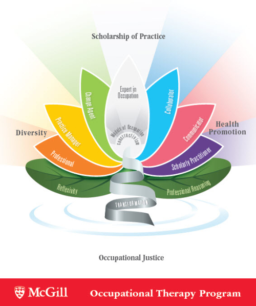 Conceptual Framework | School of Physical & Occupational Therapy - McGill  University
