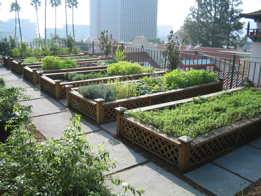 Can Urban Agriculture Feed the World's Growing Cities? | Sustainability -  McGill University
