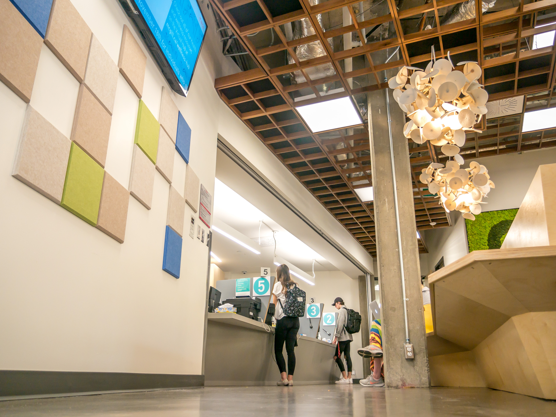 Looking Back and Moving Forward Student Wellness Hub